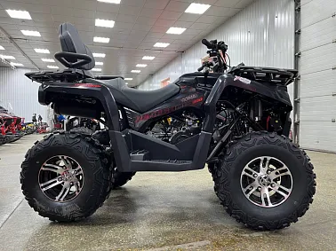 Квадроцикл PROMAX RENEGADE 300 LONG WINCH PRO (2025)